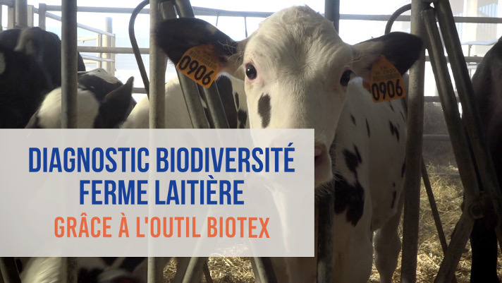 Clip vidéo : Diagnostic BIOTEX - CNIEL